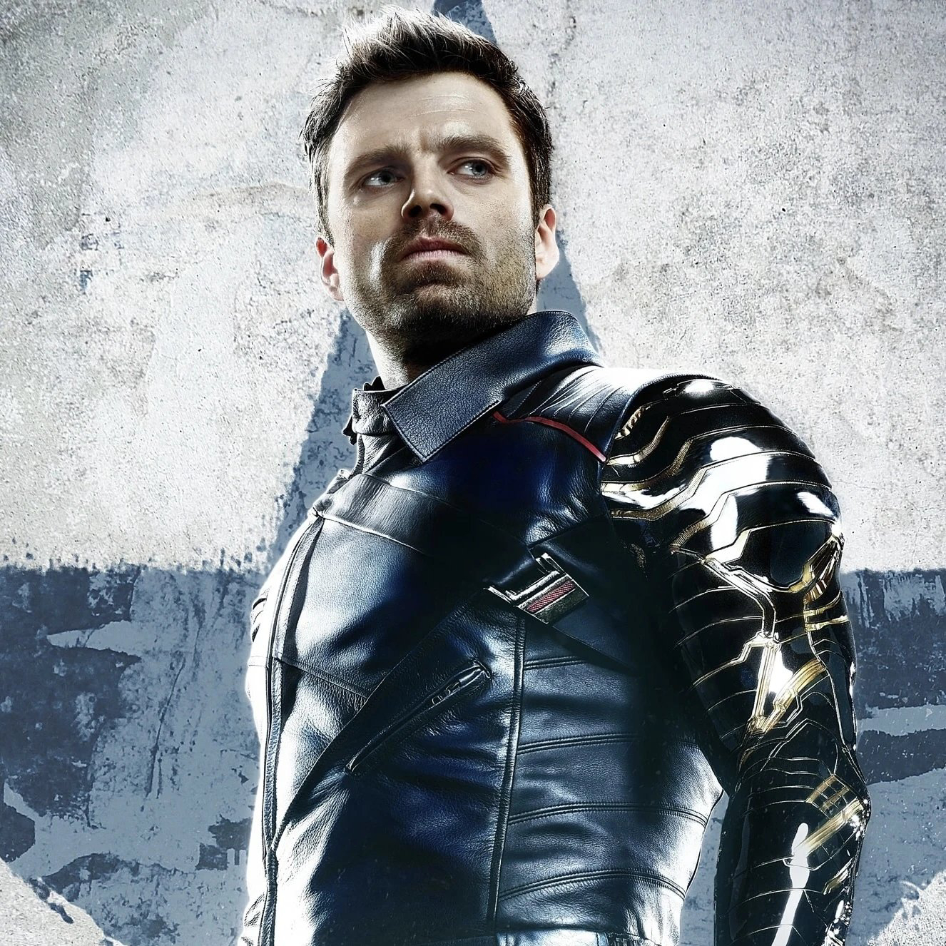 PHOTO Anthony Mackie is disappointed as Sebastian Stan is not