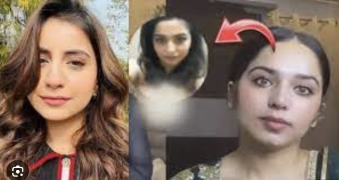 Full Video: Karmita Kaur Leaked Video & MMS; Scandal & Controversy