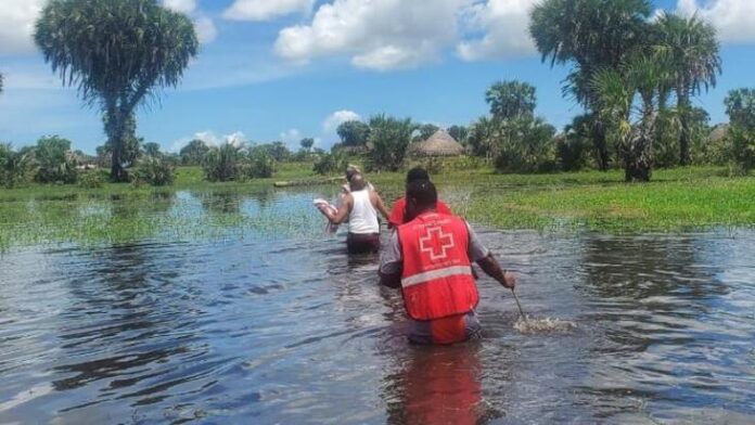 Kenya Red Cross volunteers wade through flood waters to reach out to communities marooned by the El Niño floods. PHOTO/Kenya Red Cross Society