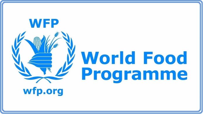 WFP Hiring National Development Intern