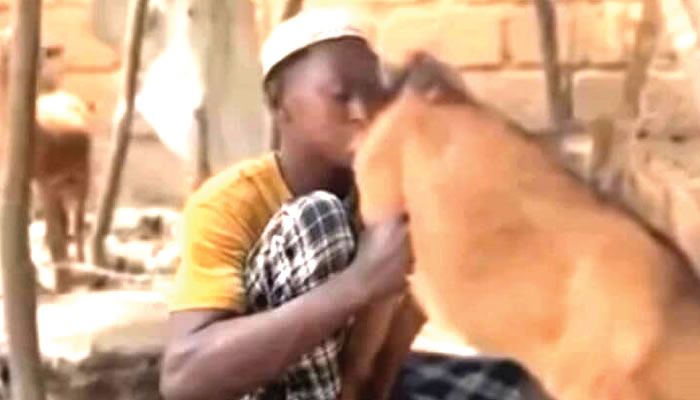 yakubu528168925519672584